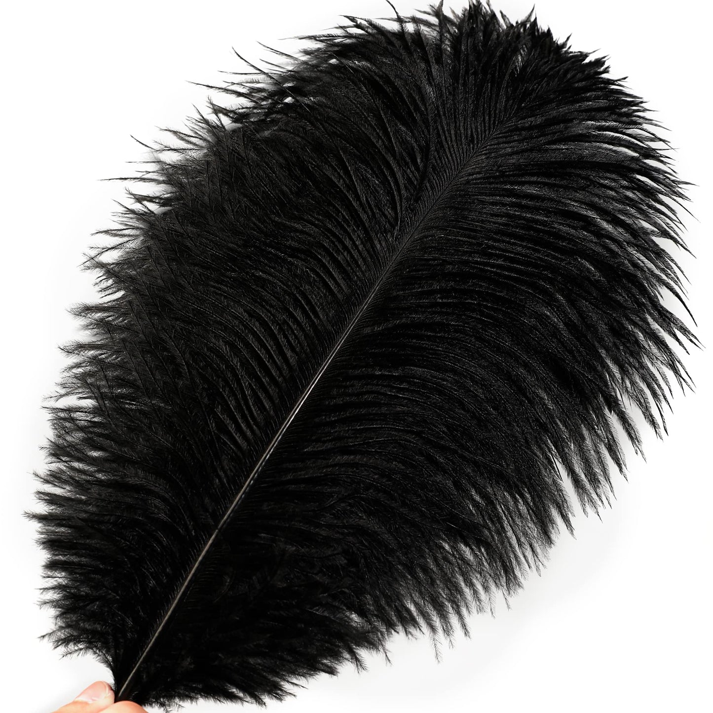 Soarer Black Ostrich Feathers Bulk - 15pcs 10-12 inches for Wedding Party Centerpieces, Home Decorations and DIY Crafts(Black)