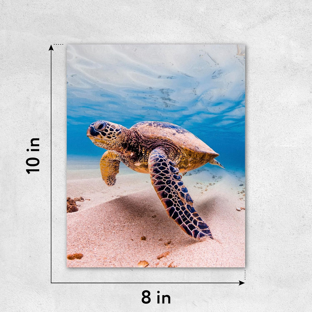 Custom Poster Print, 8x10, Upload Any Photos/Images, Personalized Photo Prints, DIY Your Own Poster, Photo to Poster Printing