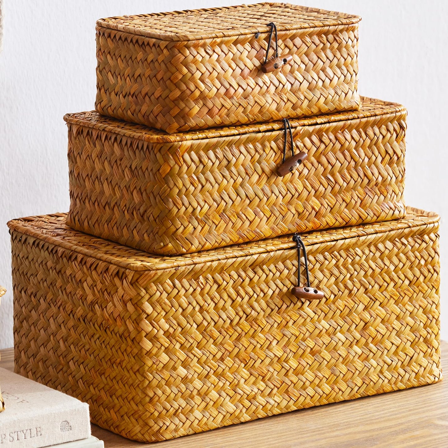EugroVanth Wicker Storage Box with Lid, Handwoven Baskets for Storage, Rectangle Decorative Baskets Bins Container for Shelf Organizing Home, Set of 3, Natural