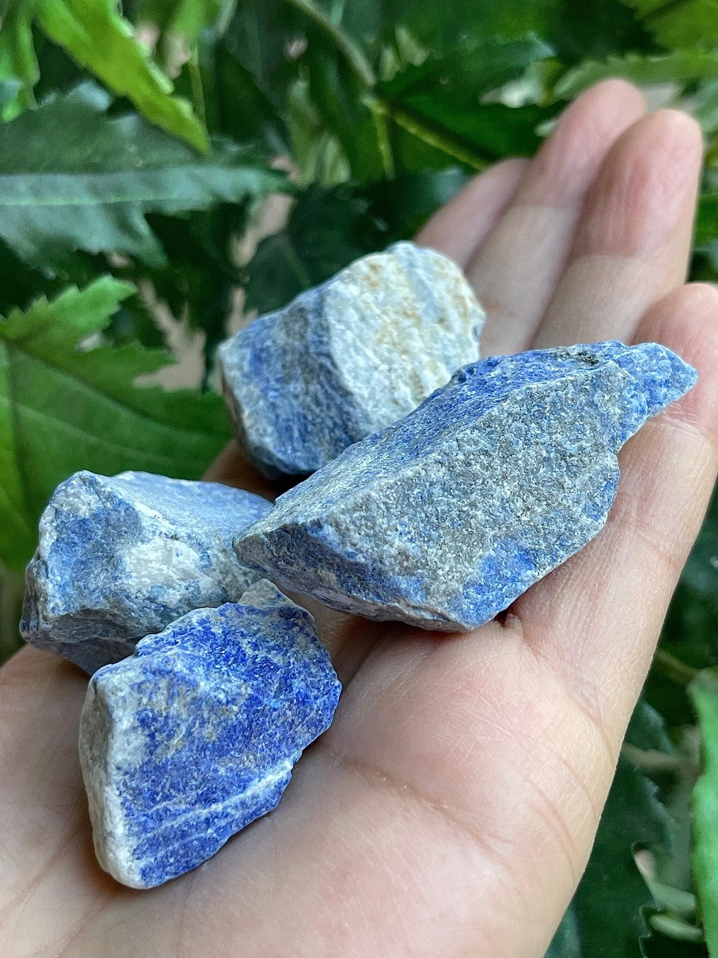 GAF TREASURES Wholesale Raw Lapis Lazuli Crystals, Natural Lapis Lazuli Stone, Natural Rough Lapis Lazuli Crystals, Lapis Lazuli Rough, Healing Crystals (Lapis Lazuli, 0.25 Pound)
