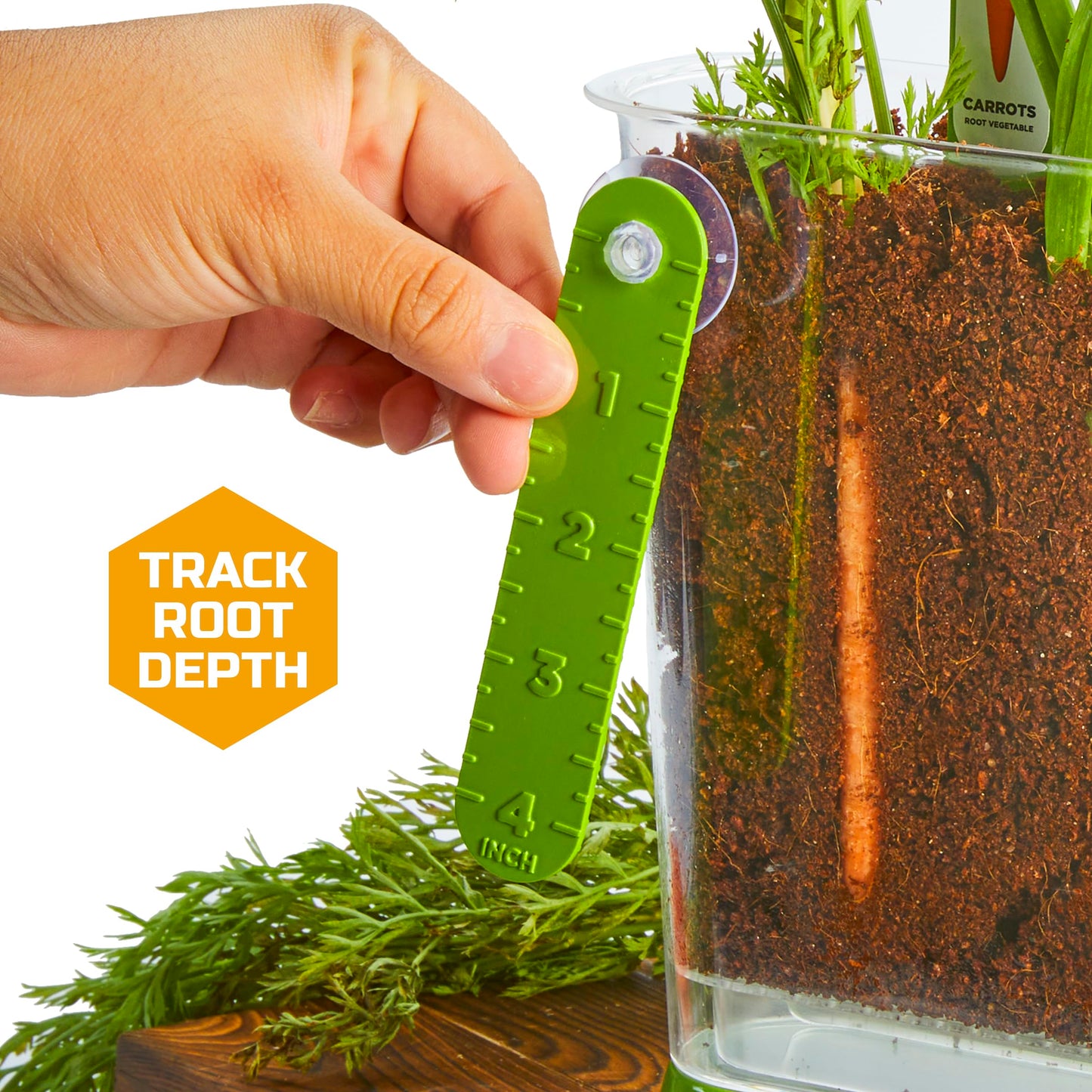 Discovery™ Edible Veggie Garden Watch-It-Grow Kit – DIY STEM Activity for Kids | Grow Carrots, Radishes & Onions| 11-Piece Science Kit with Seeds, Potting Mix & Root Tracker| Learning Toy Gift Ages 6+