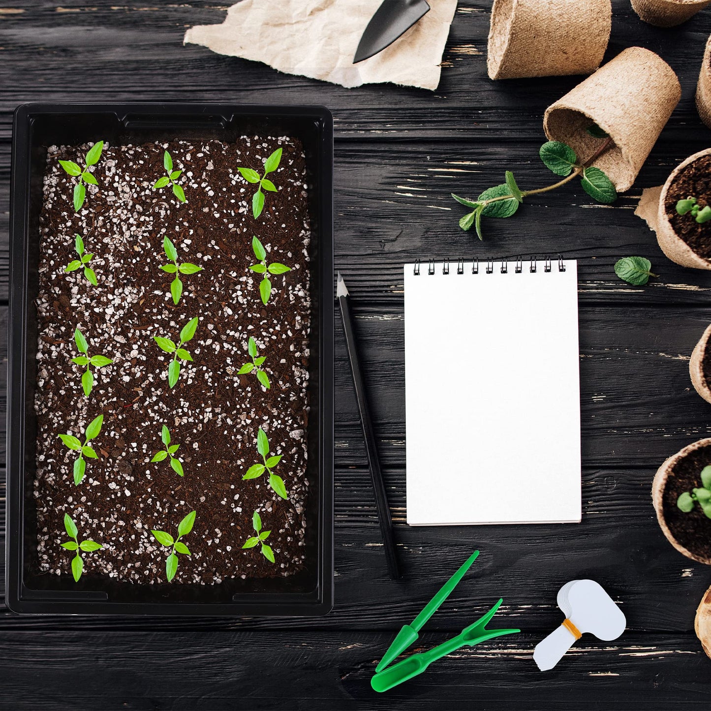 Hahood 6 Packs Seed Starter Tray Kits with Humidity Dome, Plastic Germination Growing Trays with Plants Labels, Planting Tools for Seeds Growing Starting, Germination and Seedling Propagation