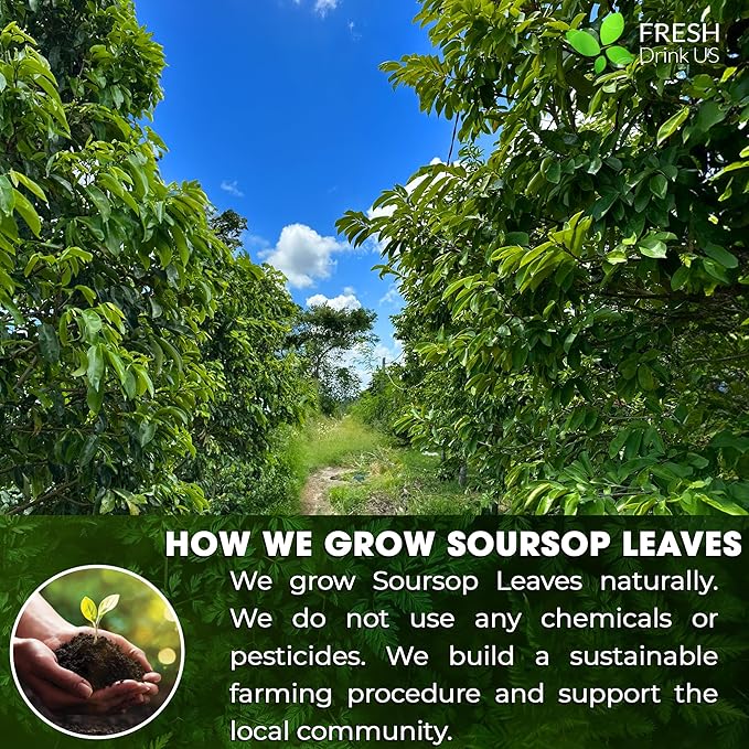 4.5oz Premium Soursop Leaf Powder – 100% Pure & Natural | Graviola Leaves for Tea, Handmade, Cake Color Making, Non-GMO, Caffeine-Free, No Additives. Vegan