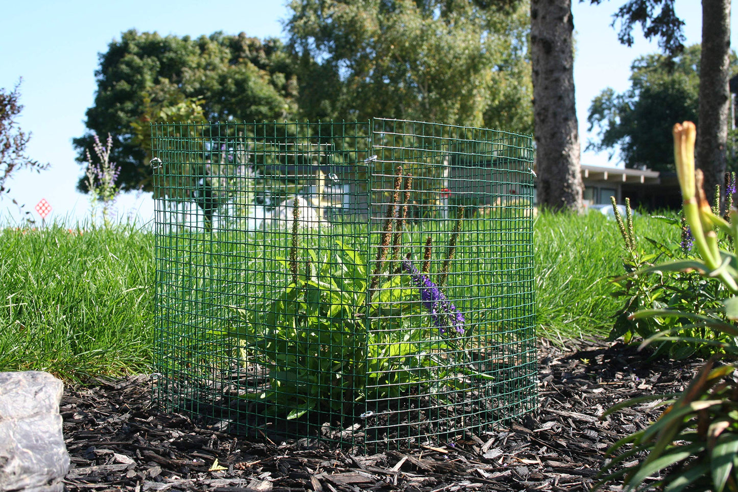 6 New Small Wire Plant Protectors, 12" Square, 12" high (Vinyl Coated Rust Resistant Wire)