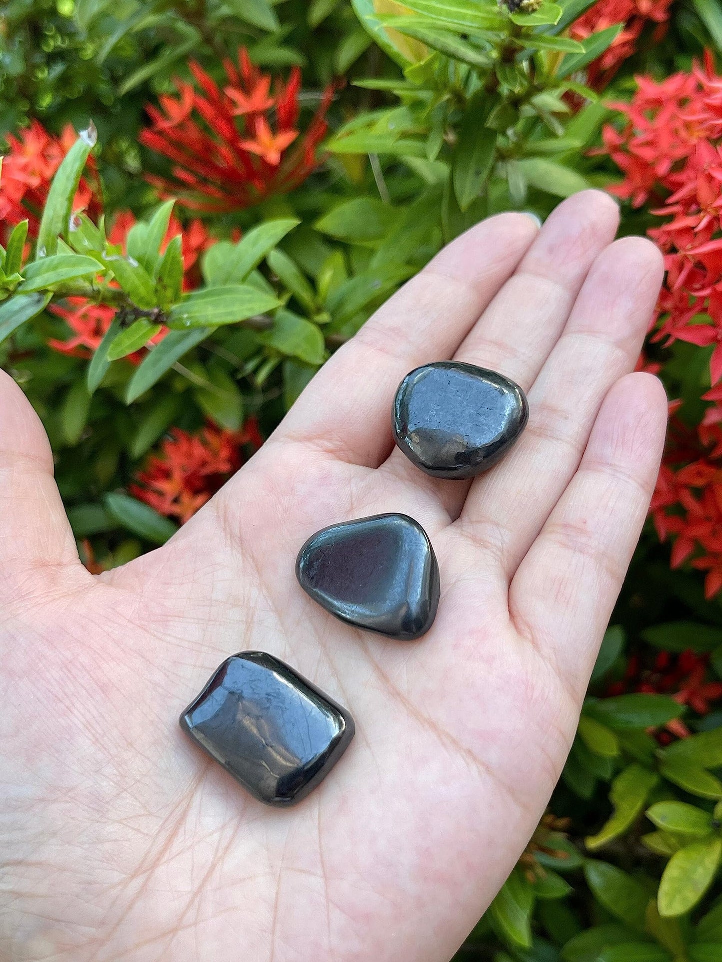 GAF TREASURES 5 Pcs Shungite Tumbled Stones, Polished Natural Shungite Gemstone, Shungite Healing Crystals (Shungite)