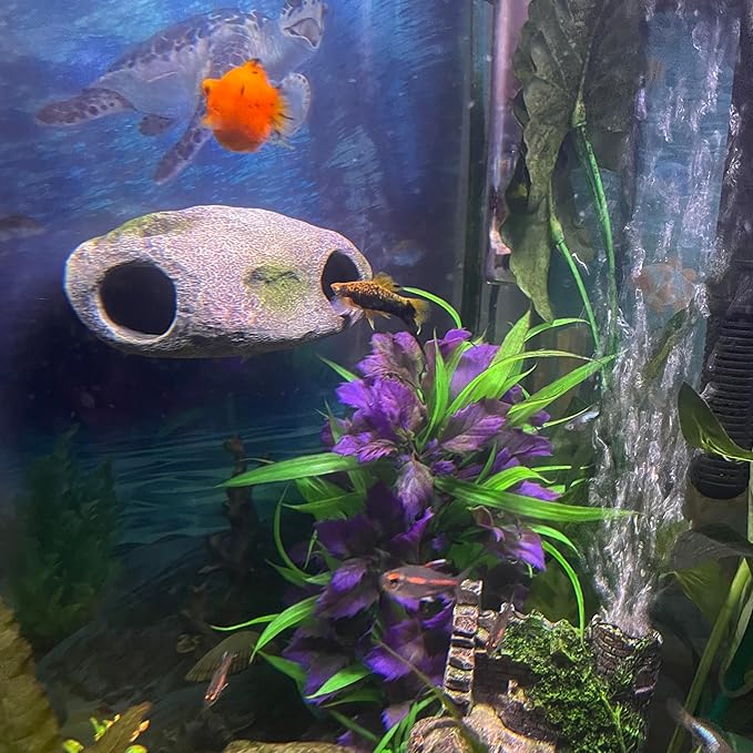 OrnaMounts Aquarium Decor Magnetic Rock Cave Ornament – Wall-Mounted Fish Tank Accessory