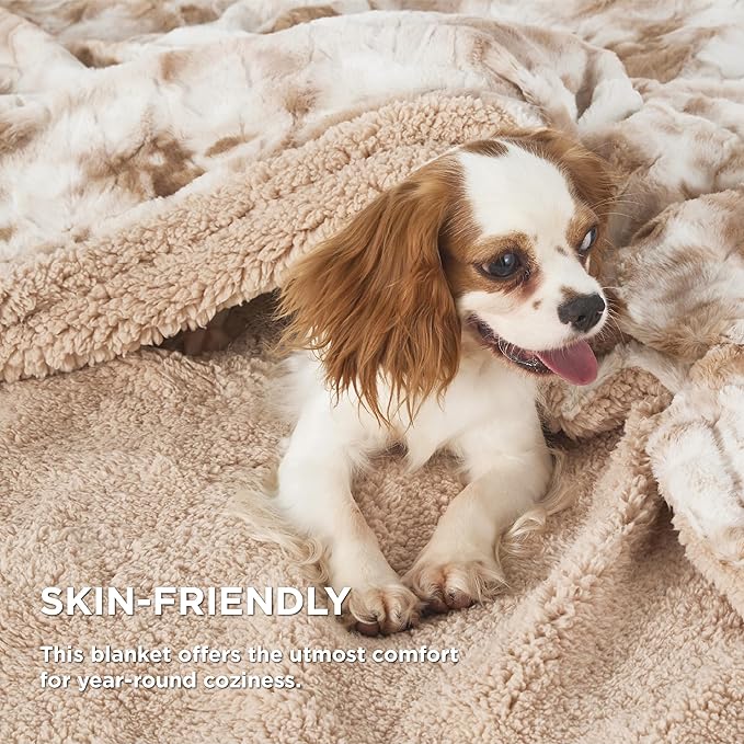 Bedsure Sherpa Fuzzy Throw Blanket - Soft, Warm and Cozy Throw for Women, Plush & Fluffy Faux Fur Blanket for Couch, Sofa and Bed Decor, Beige, 50x60 Inches