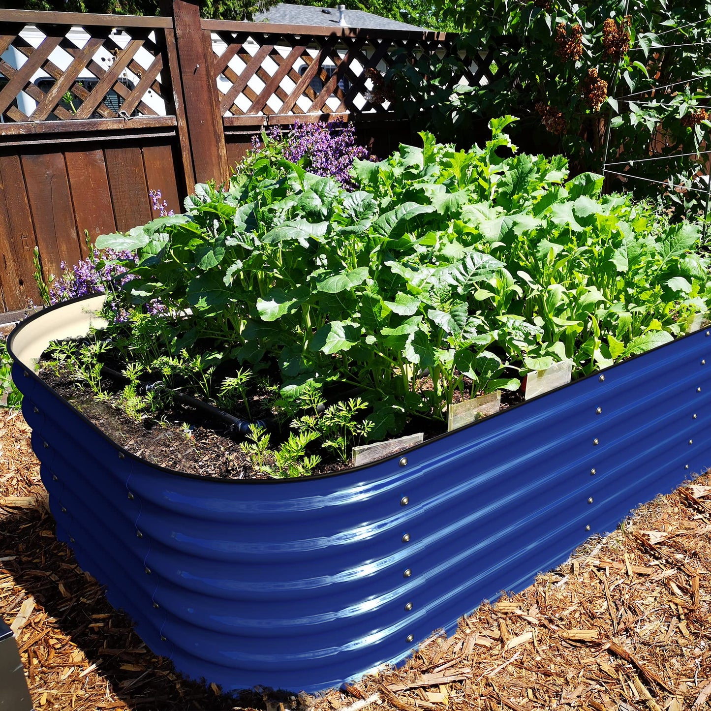 OLLE Galvanized Raised Garden Beds, 12-in-1 Metal Outdoor Plant Boxes for Vegetables, Cobalt Blue 17" Tall