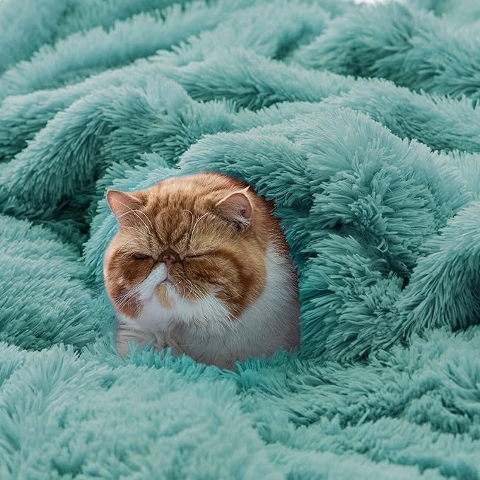 Bedsure GentleSoft Fluffy Green Throw Blanket Gifts for Women, Men, Soft Fleece Cozy Fuzzy Sherpa Plush Warm Minky Thick Faux Fur Throws for Couch, Bed, Green Decor Blanket Gifts for Mom Dad, 50x60