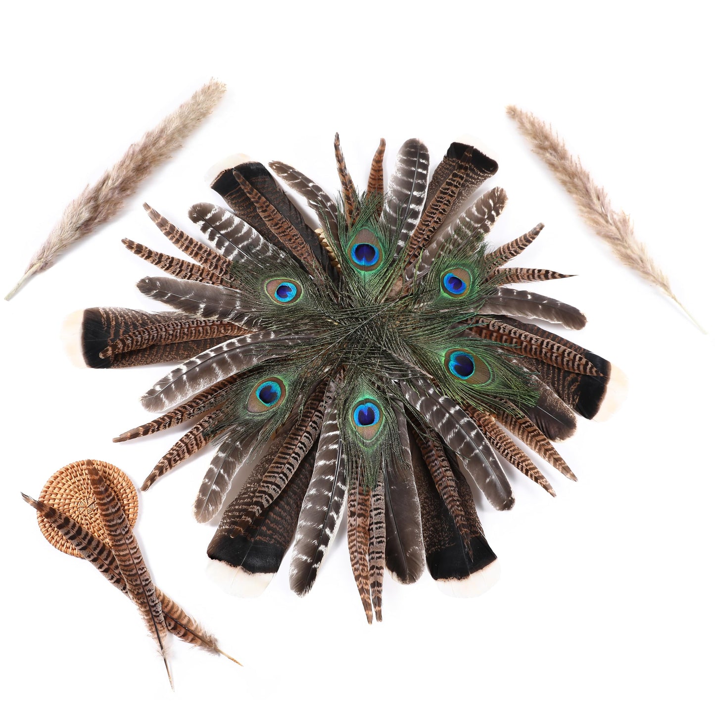Ballinger Large Natural Pheasant Feathers - 8-12inch 4 Styles 24Pcs Assorted Craft Feathers Bulk,Peacock Feathers, Pheasant Feathers,Turkey Feathers for Crafting Vase Hat Wedding Autumn Party Decor