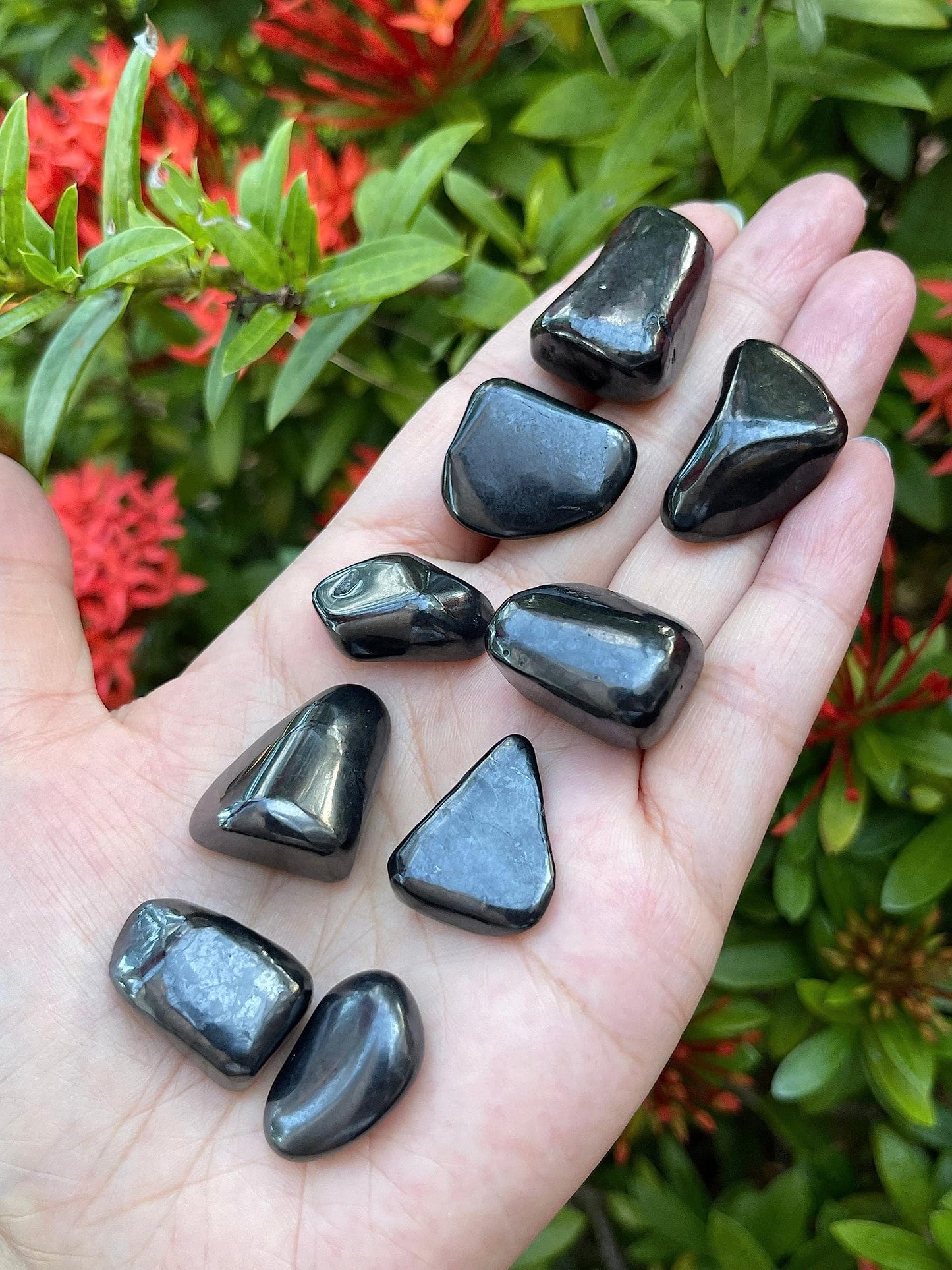 GAF TREASURES 5 Pcs Shungite Tumbled Stones, Polished Natural Shungite Gemstone, Shungite Healing Crystals (Shungite)