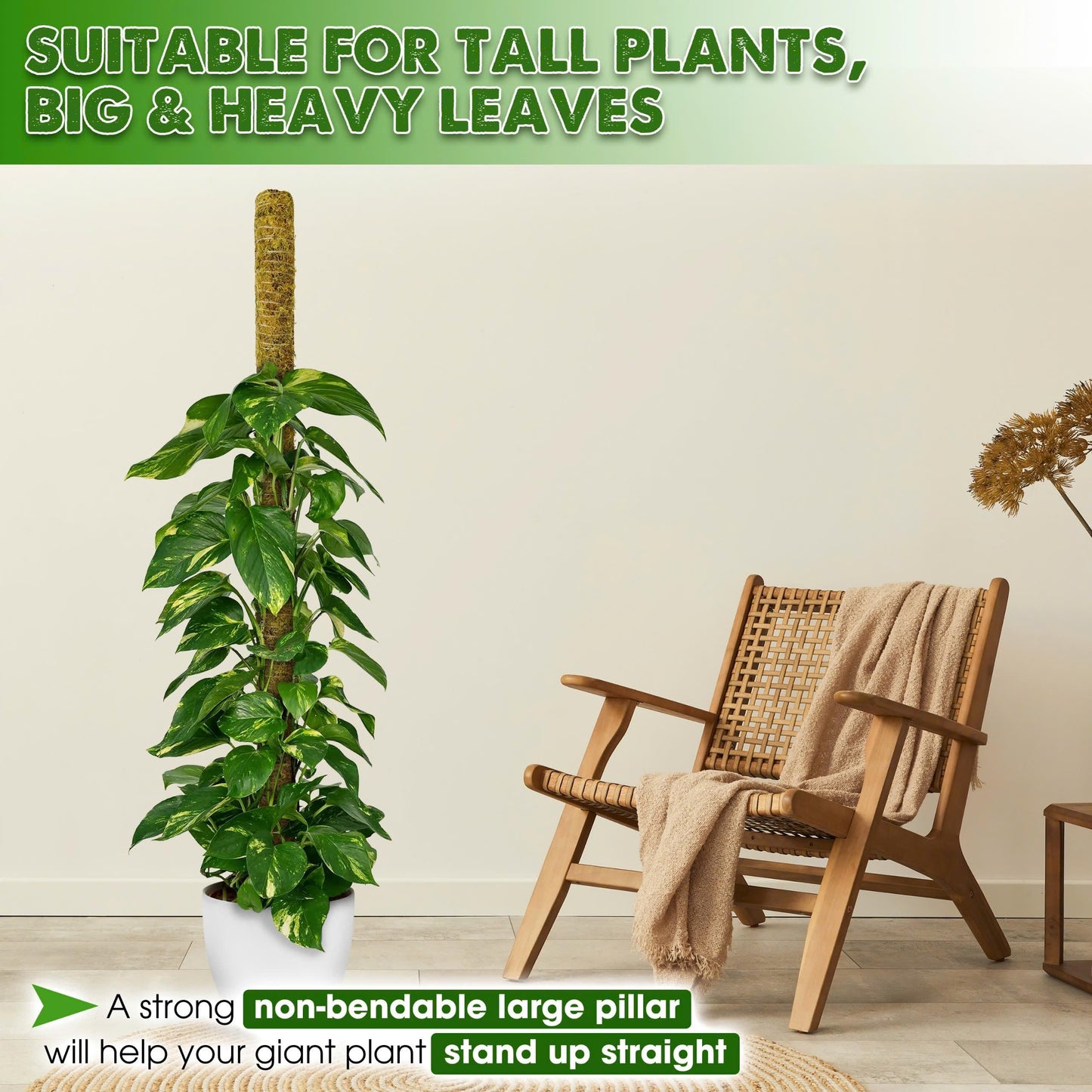 DUSPRO 59 Inches Non-Bendable Pole for Big Climbing Plants, Large Moss Pole for Monstera, Indoor Plant Stakes, Support (1pc., 59'')