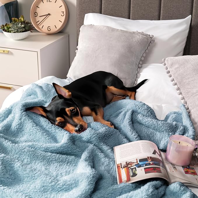 PAVILIA Sherpa Throw Blanket for Couch Sofa, Dusty Slate Blue Fluffy Warm Plush Blanket for Bed, Cozy Super Soft Lightweight Throw, Fuzzy Decorative Blanket, All Season Home, 50x60