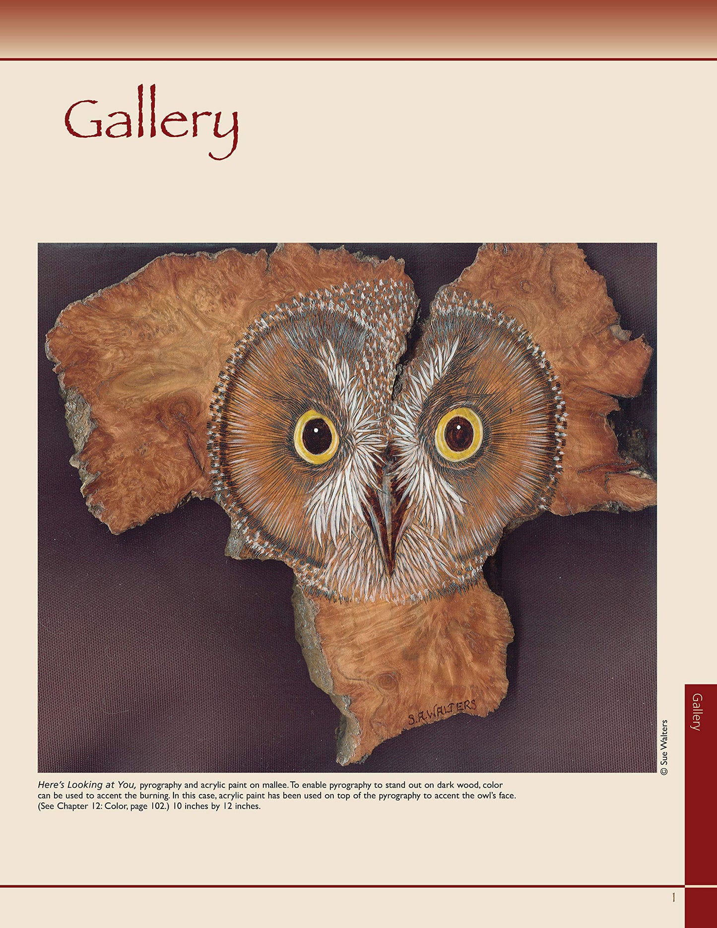 Pyrography Workbook: A Complete Guide to the Art of Woodburning (Fox Chapel Publishing) Step-by-Step Projects and Patterns with Texture, Shading, and Color Techniques for Woodburners
