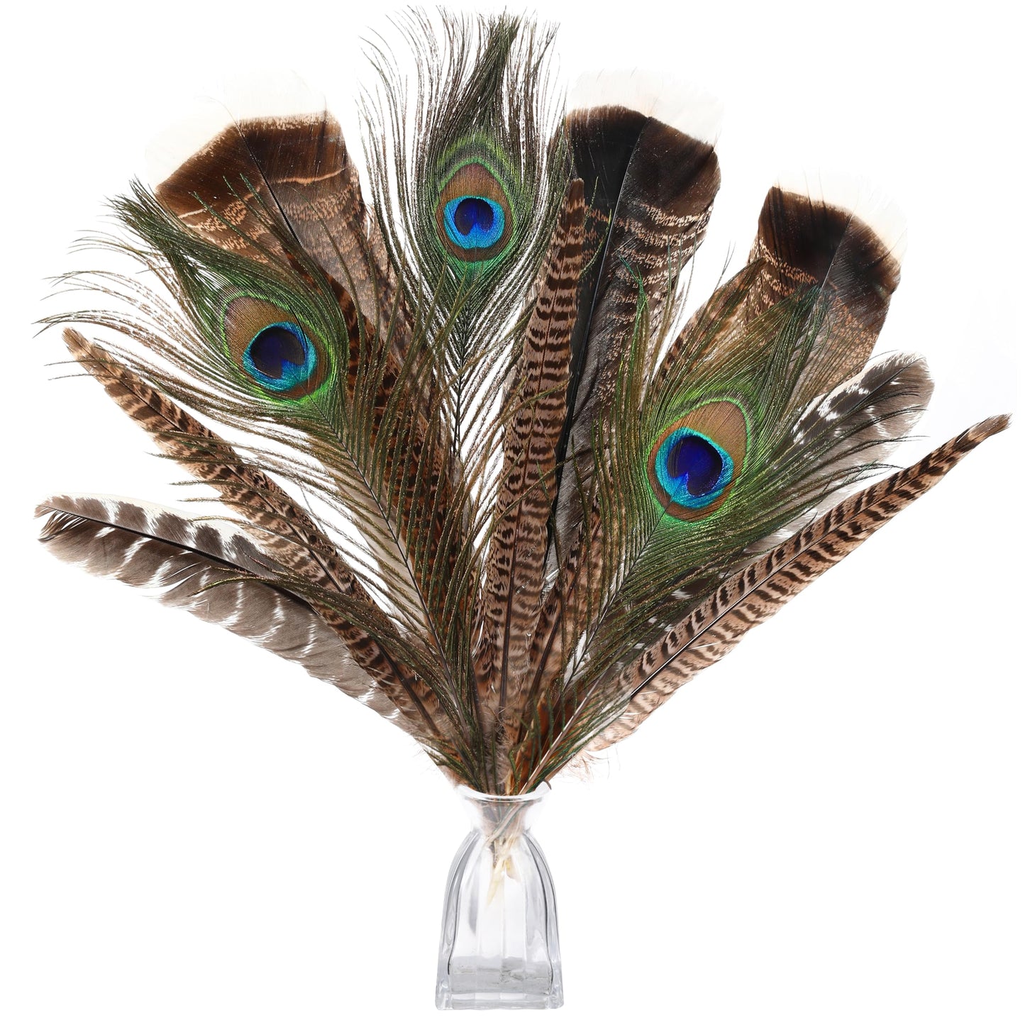 Ballinger Large Natural Pheasant Feathers - 8-12inch 4 Styles 24Pcs Assorted Craft Feathers Bulk,Peacock Feathers, Pheasant Feathers,Turkey Feathers for Crafting Vase Hat Wedding Autumn Party Decor