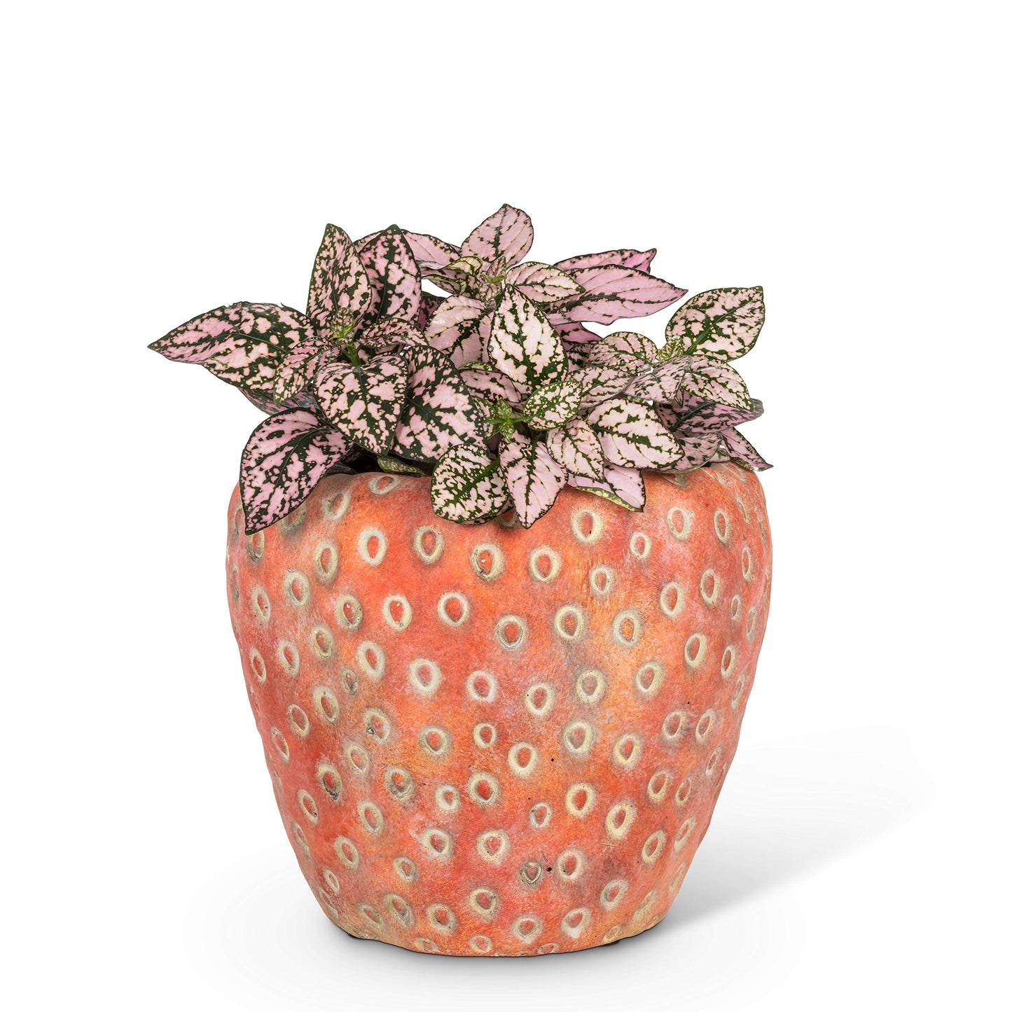 Abbott Collection Small Strawberry Planter - Cement, Pink (5" D)