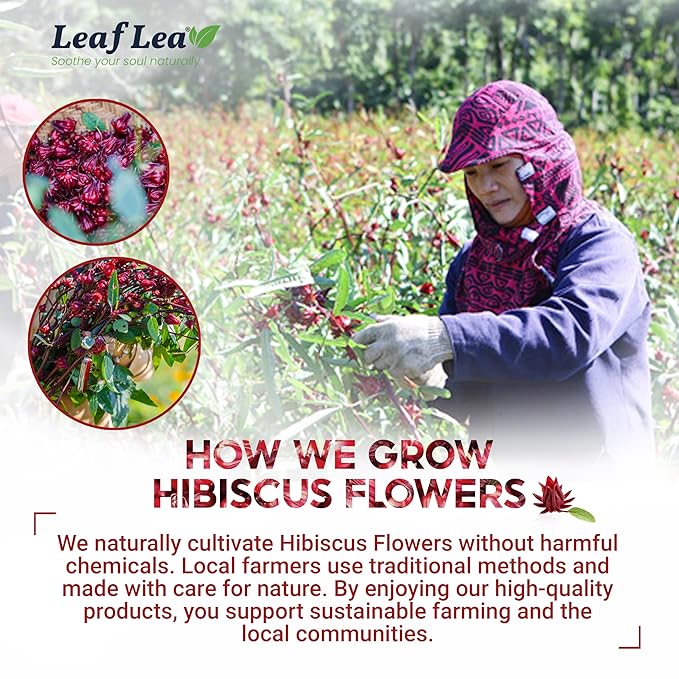 LeafLea 80 Hibiscus Tea Bags, 100% Natural Hibiscus Flowers, Caffeine-Free Herbal Tea, Red Hibiscus Flower Tea Bags, Te de Hibisco Natural, Sugar-Free, Non-GMO, Gluten-Free, Vegan (Pack of 2)