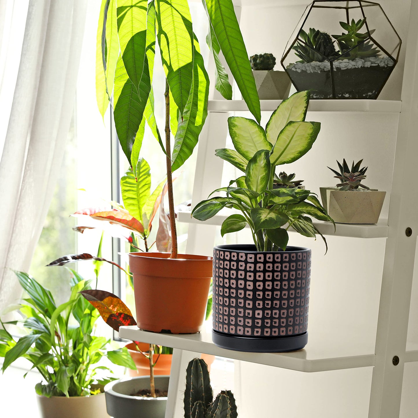 D'vine Dev Set of 2 Ceramic Planter Pots with Drainage Hole and Saucer, 4.5 Inch 6 Inch Plant Pots for Plants Indoor Houseplants, Black, 99-A-2