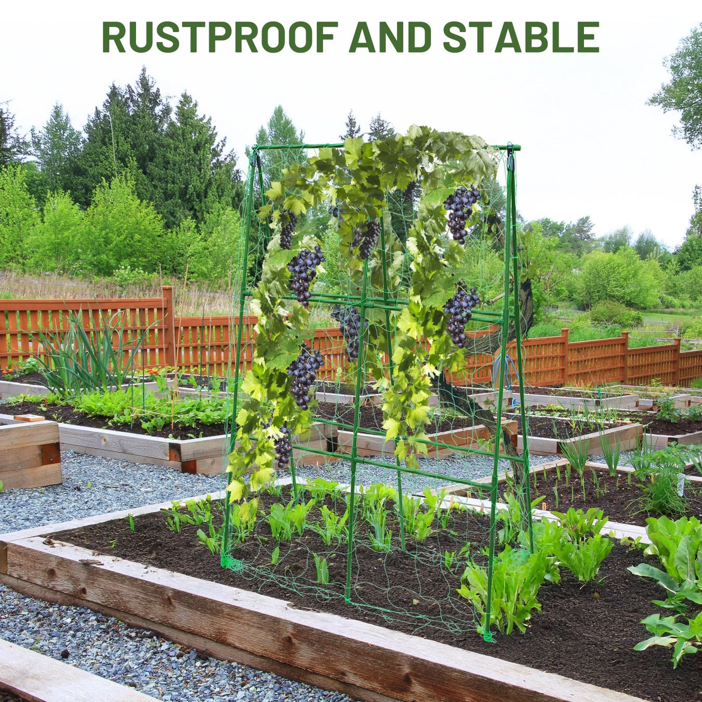 PHENEAHILL Compact A-Frame Plant Trellis for Peas, Beans & Small Climbing Plants - Rust-Resistant, Easy to Assemble, Lightweight Steel, Ideal for Raised Beds & Container Gardens(31" W x 47" H)