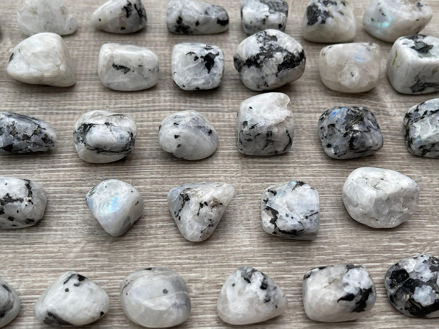 GAF TREASURES 5 Pcs Rainbow Moonstone Tumbled Stones, Polished Rainbow Moonstone Gemstone, Rainbow Moonstone Healing Crystals (Rainbow Moonstone)
