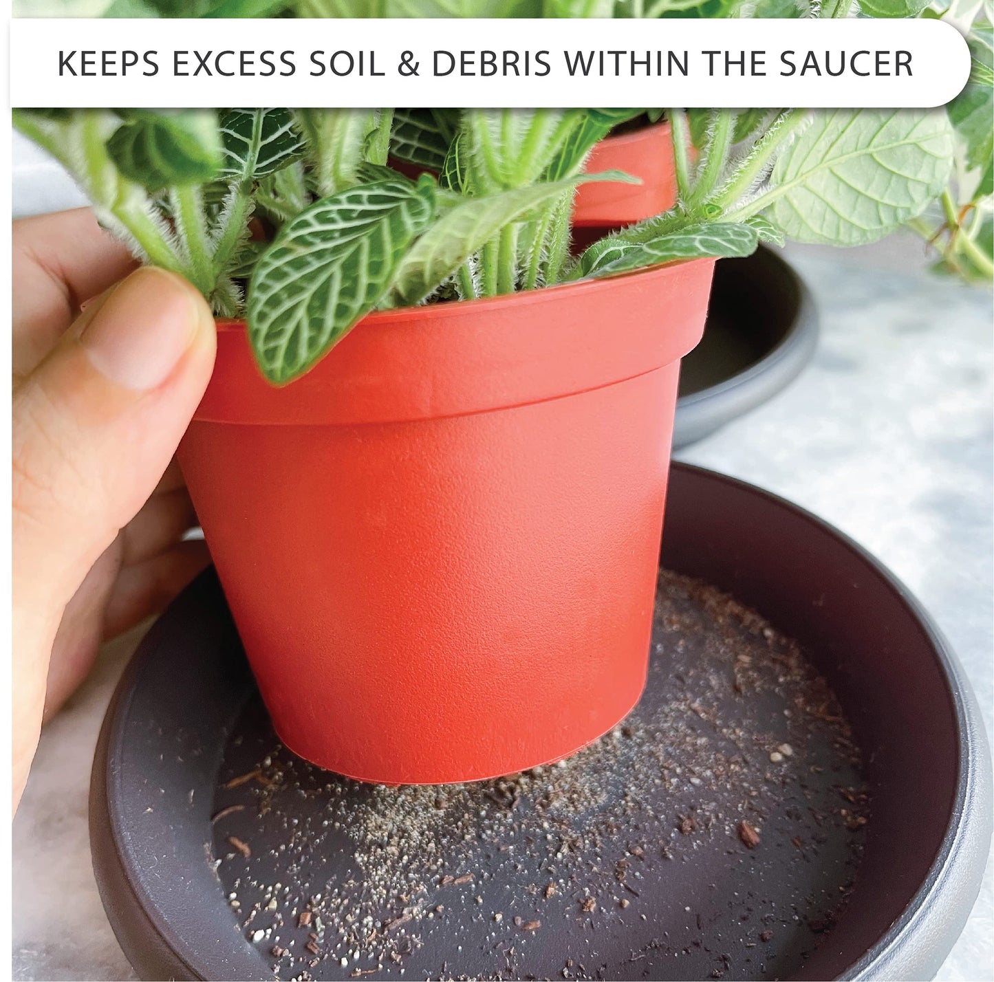 LOOPSEED Plant Saucer 6 Pack Drip Trays Planter Pot Base Heavy Duty Plastic Drainage Tray for Indoor Houseplants Outdoor Garden 5 inch 8 inch 11 inch 3 Sizes 2 Each Round (Brownish Black)