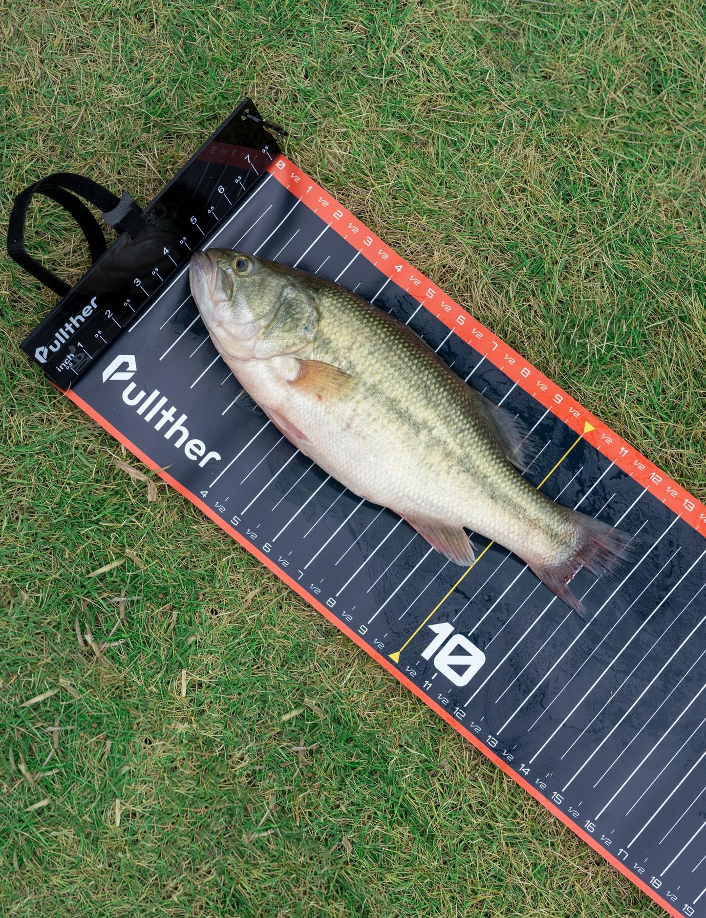 Pullther Fishing 53in Fish Ruler,Fish Measuring Tape,Fishing Ruler with Bump Board,Waterproof Fishing Measurement Tool