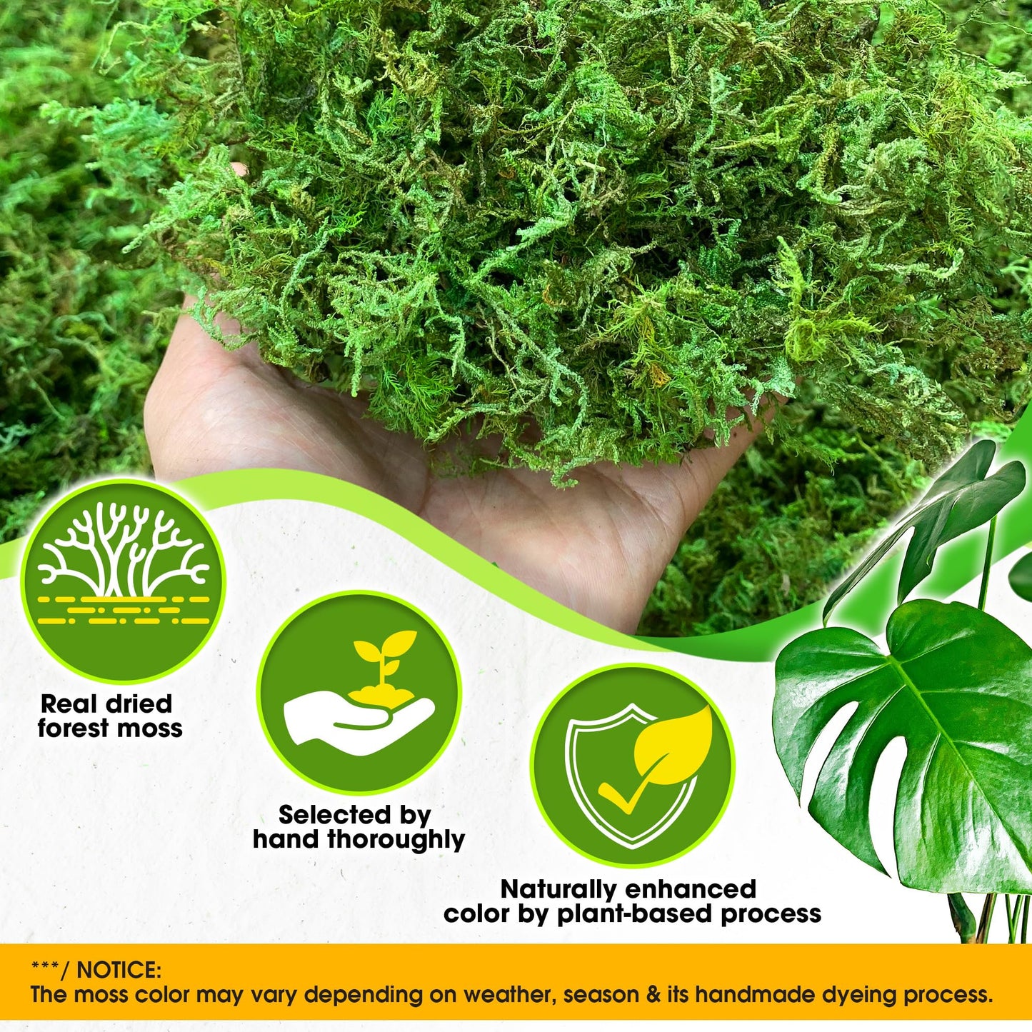 DUSPRO Green Forest Moss for Crafts, Real Dried Decorative Moss for Indoor Planter Soil Cover, Table Centerpieces, Wedding, Easter & Christmas Decor, DIY Projects, 1.25 Lbs