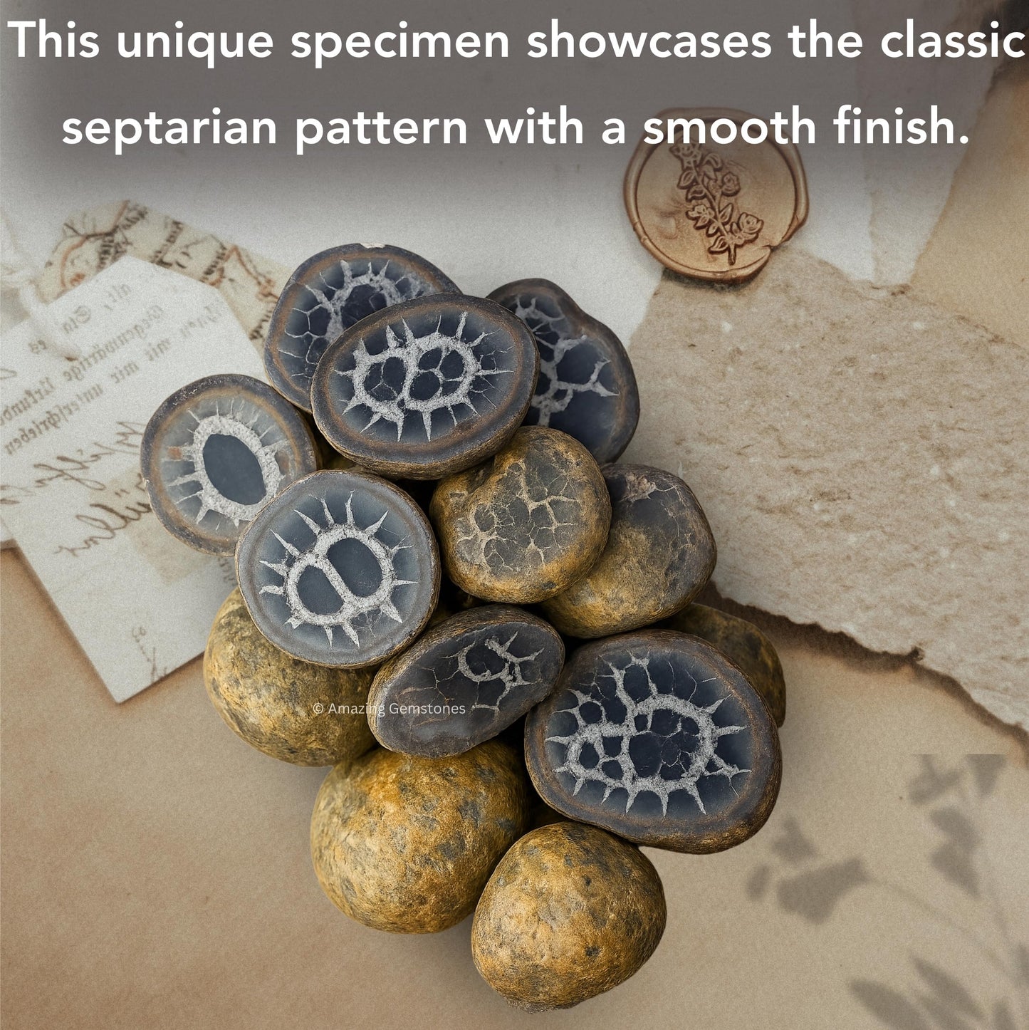 Amazing Gemstone Septarian Nodule Crystals and Healing Stones Mineral Specimen - Premium Semi Precious Gem Stones for Spiritual Growth - Healing Crystals Geode Clusters for Meditation