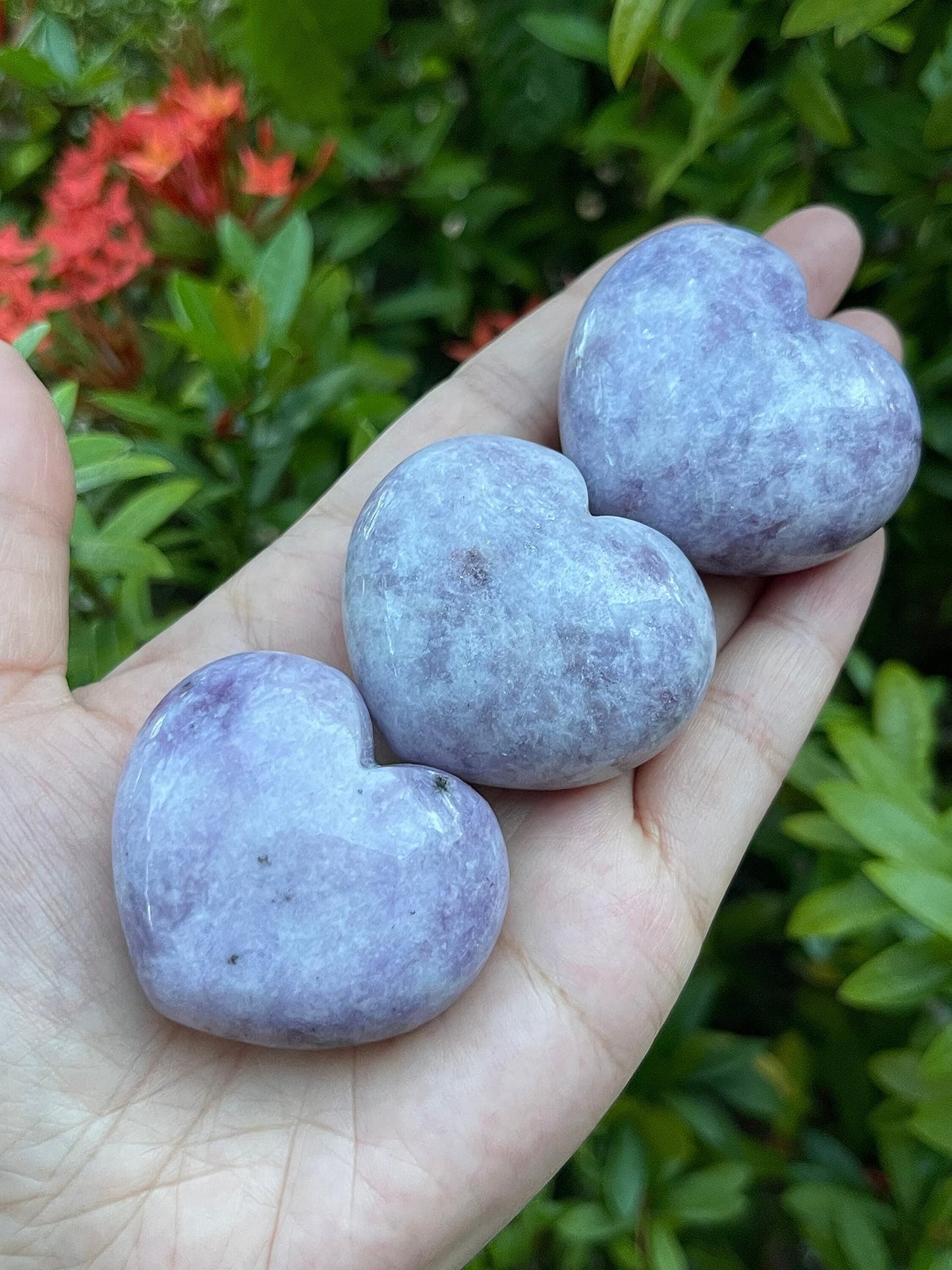 GAF TREASURES Lepidolite Gemstone Hearts, Polished Lepidolite Puffy Hearts, Lepidolite Crystal Palm Stone, Lepidolite Healing Crystal Hearts (1 Heart)