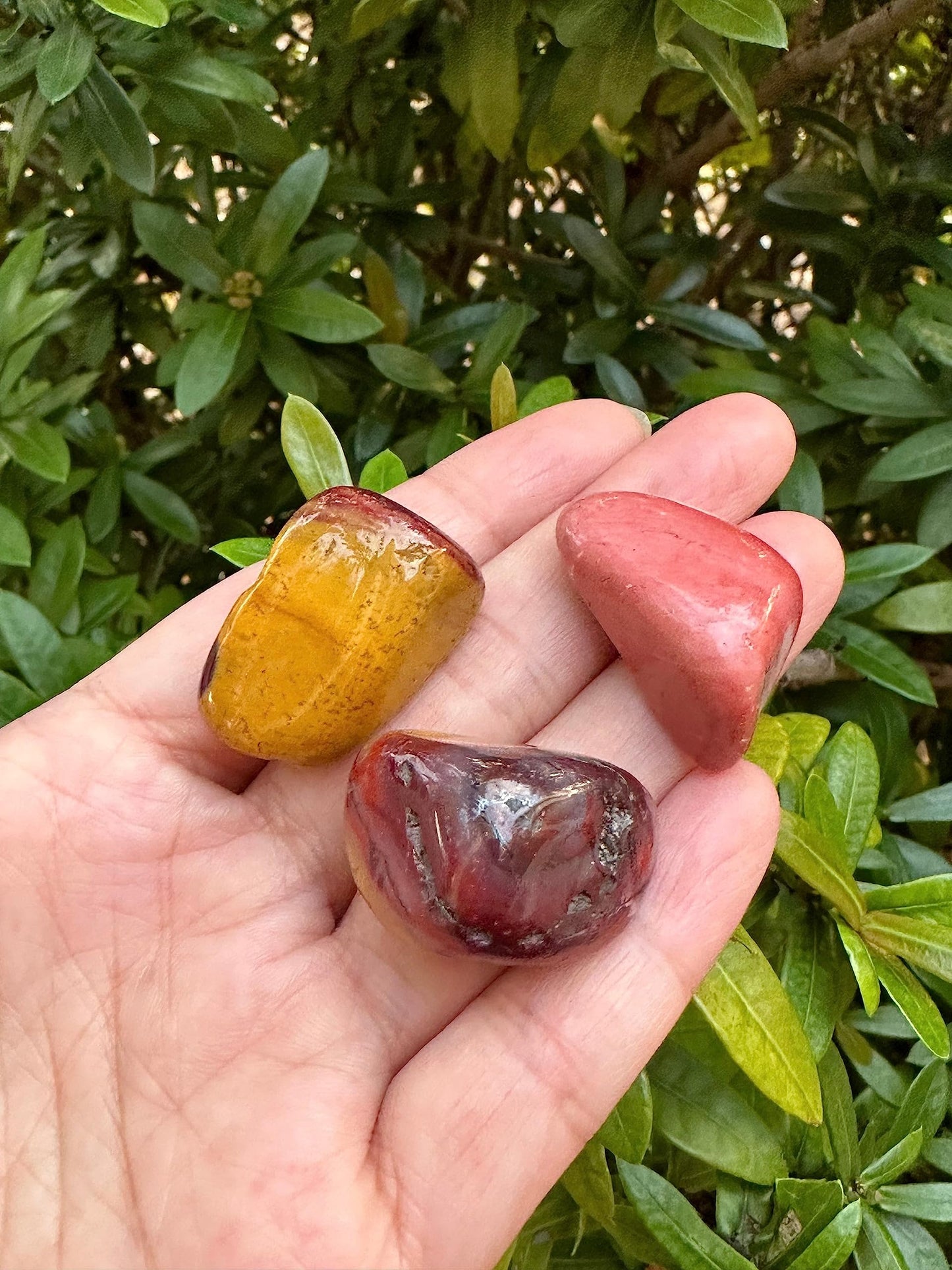 GAF TREASURES 5 Pcs Mookaite Tumbled Stones, Polished Mookaite Gemstone, Mookaite Healing Crystals (Mookaite)