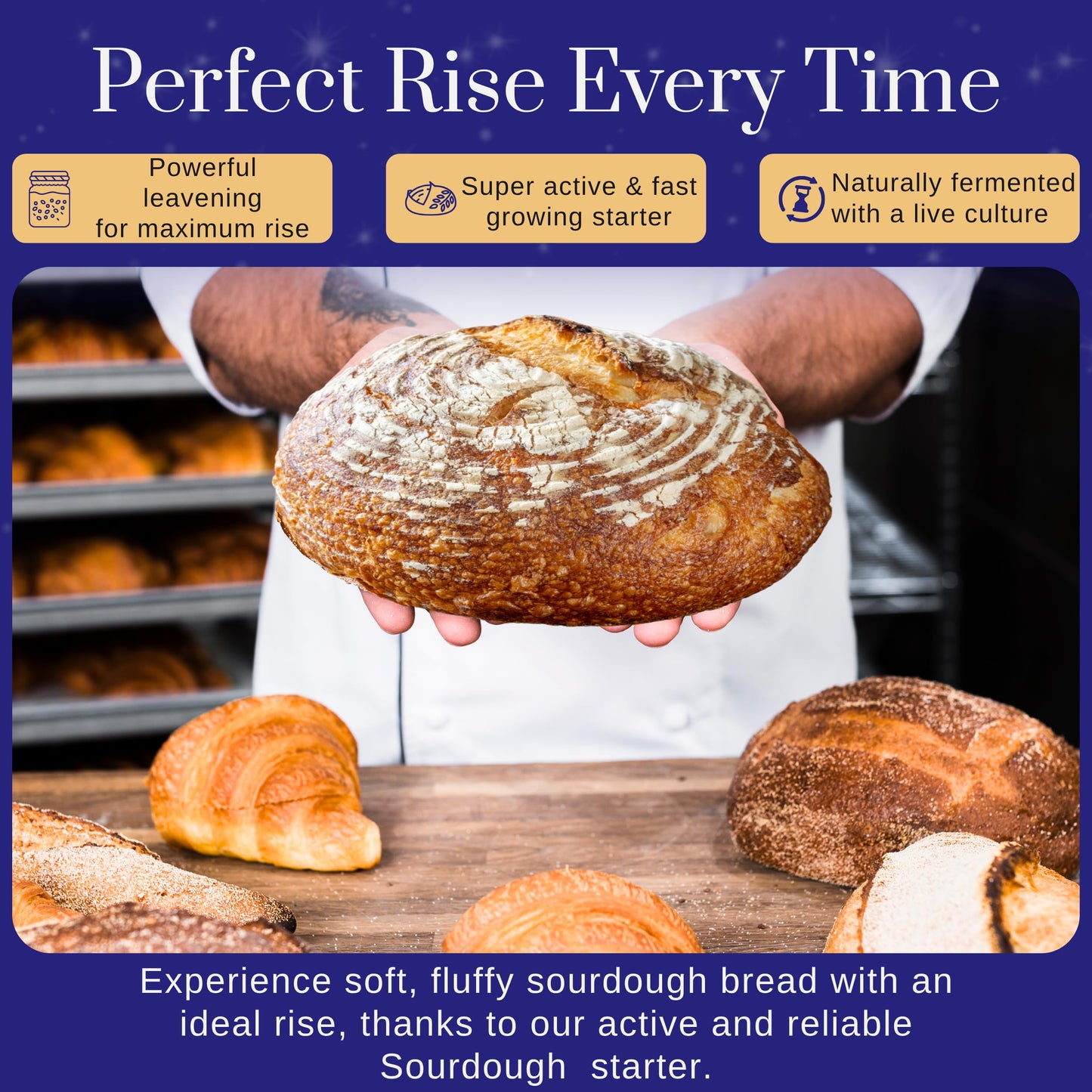 Mature Sourdough Starter Culture – 100+ Years Old Dehydrated Sourdough Starter Kit for Delicious Homemade Sourdough Bread – All-Natural and Healthy - Beginner Friendly, Fast reactivation and Expert Support