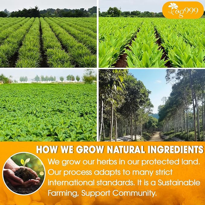 TOG999, 6oz/100 cups Anti-Inflammaheb Loose Leaf Tea | 100% Natural Blend of Ginger, Turmeric, Peppermint, Black Pepper & Cinnamon | Caffeine-Free, Sugar-Free, Gluten-Free, Vegan, Handcrafted