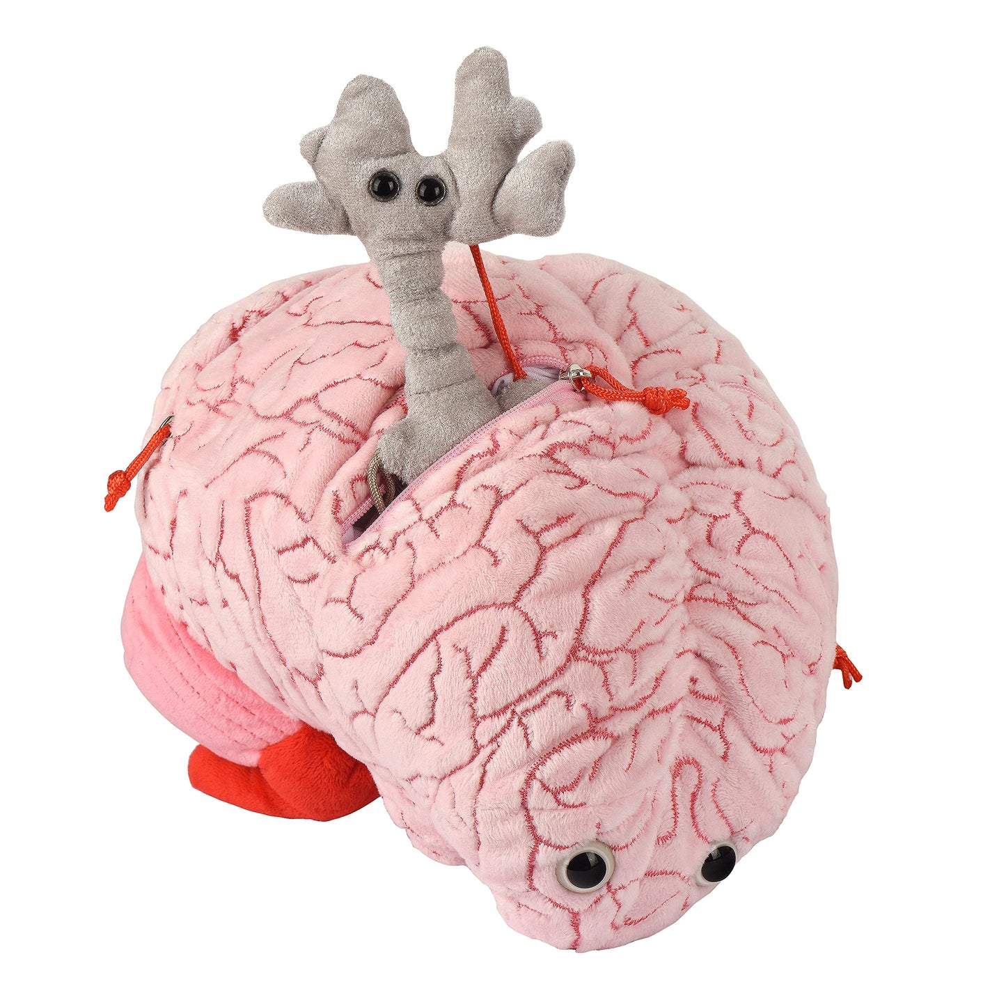 GIANTmicrobes Deluxe 9.5" Brain with Neuron Plush, Brain Model Anatomy, Psychology Gifts for Students, Medical Student Gift, Therapist Office Decor, Anatomy Models, Neuroscience Gifts, Neurology Gift