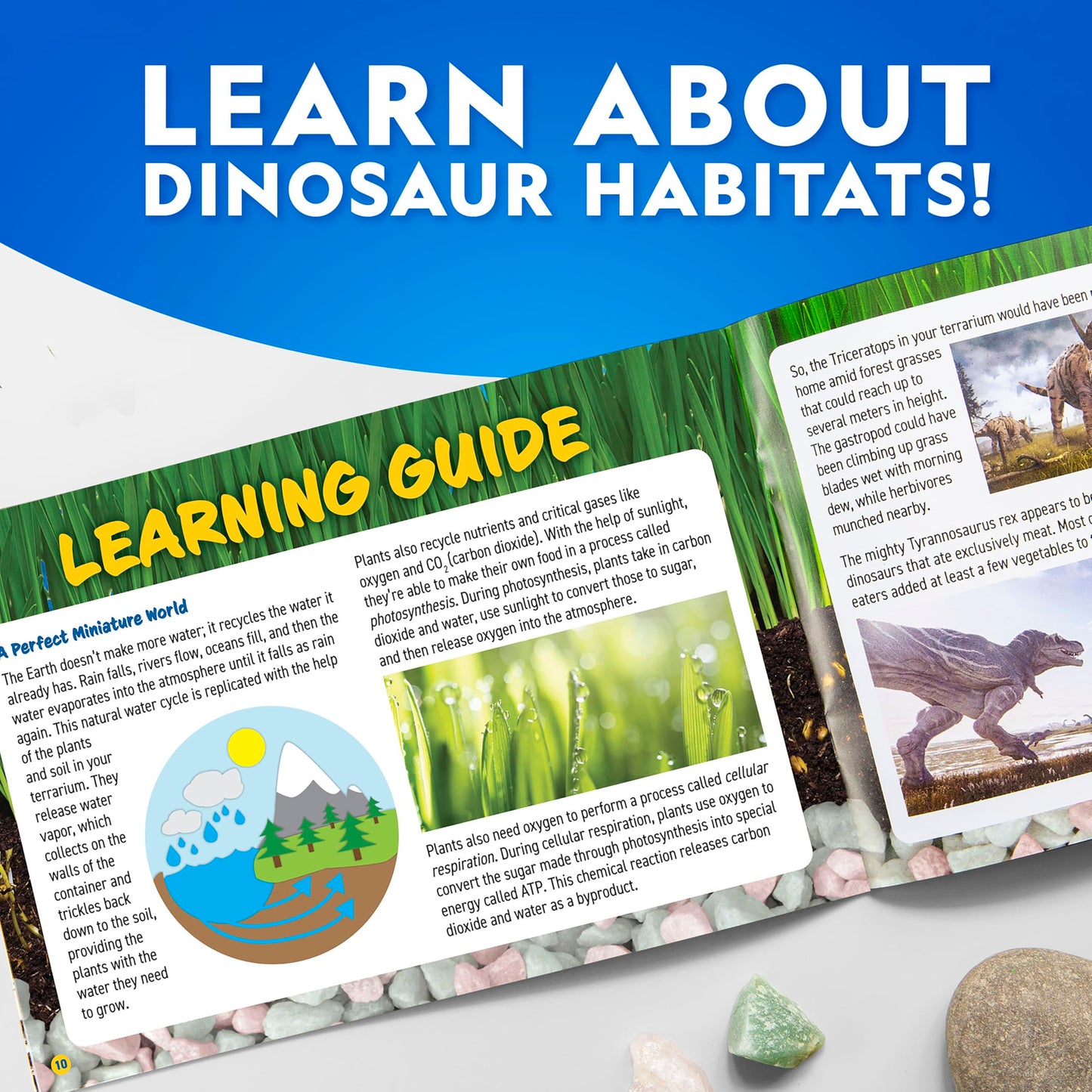 National Geographic Light-Up Dinosaur Terrarium Kit for Kids – Build a Prehistoric Habitat with Play Sand, Real Gemstones & Dino Figures, Science Activity Kit for Boys & Girls