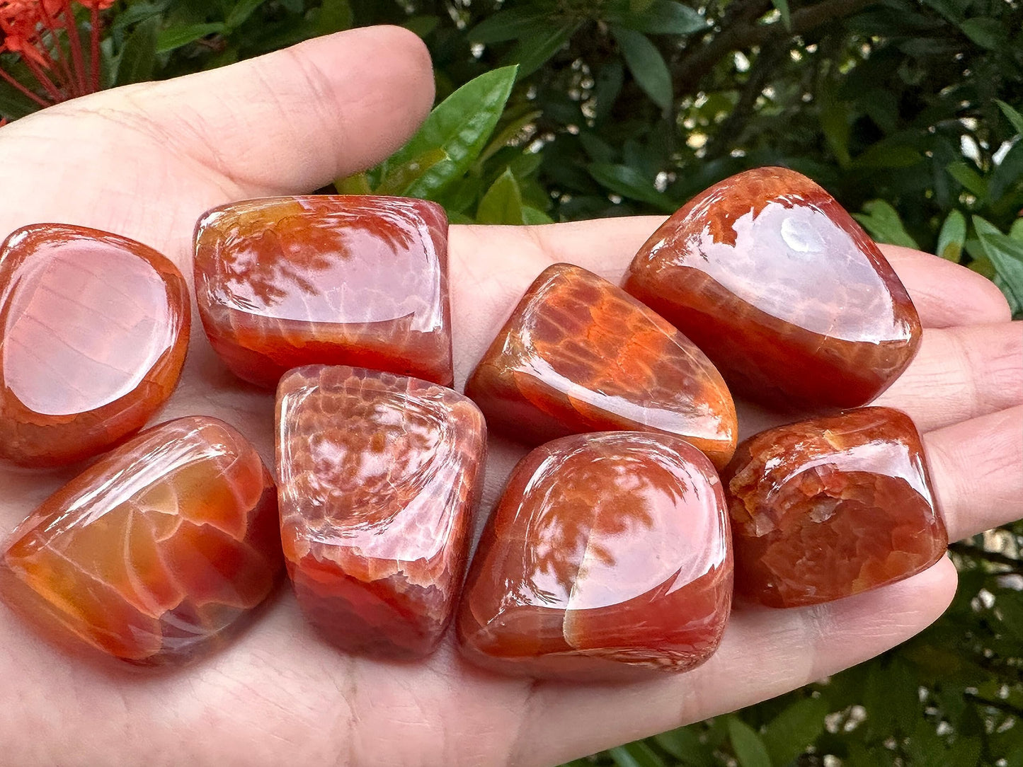 GAF TREASURES 5 Pcs Fire Agate Tumbled Stones, Polished Fire Agate Gemstone, Fire Agate Healing Crystals