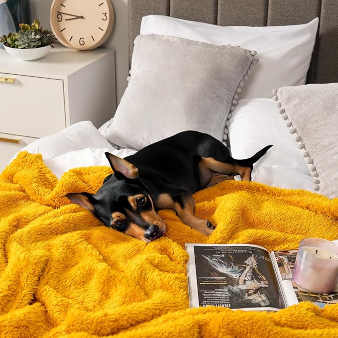 PAVILIA Sherpa Throw Blanket for Couch Sofa, Mustard Yellow Fluffy Warm Plush Blanket for Twin Bed, Cozy Super Soft Lightweight Throw, Fuzzy Decorative Blanket, All Season Home, 60x80
