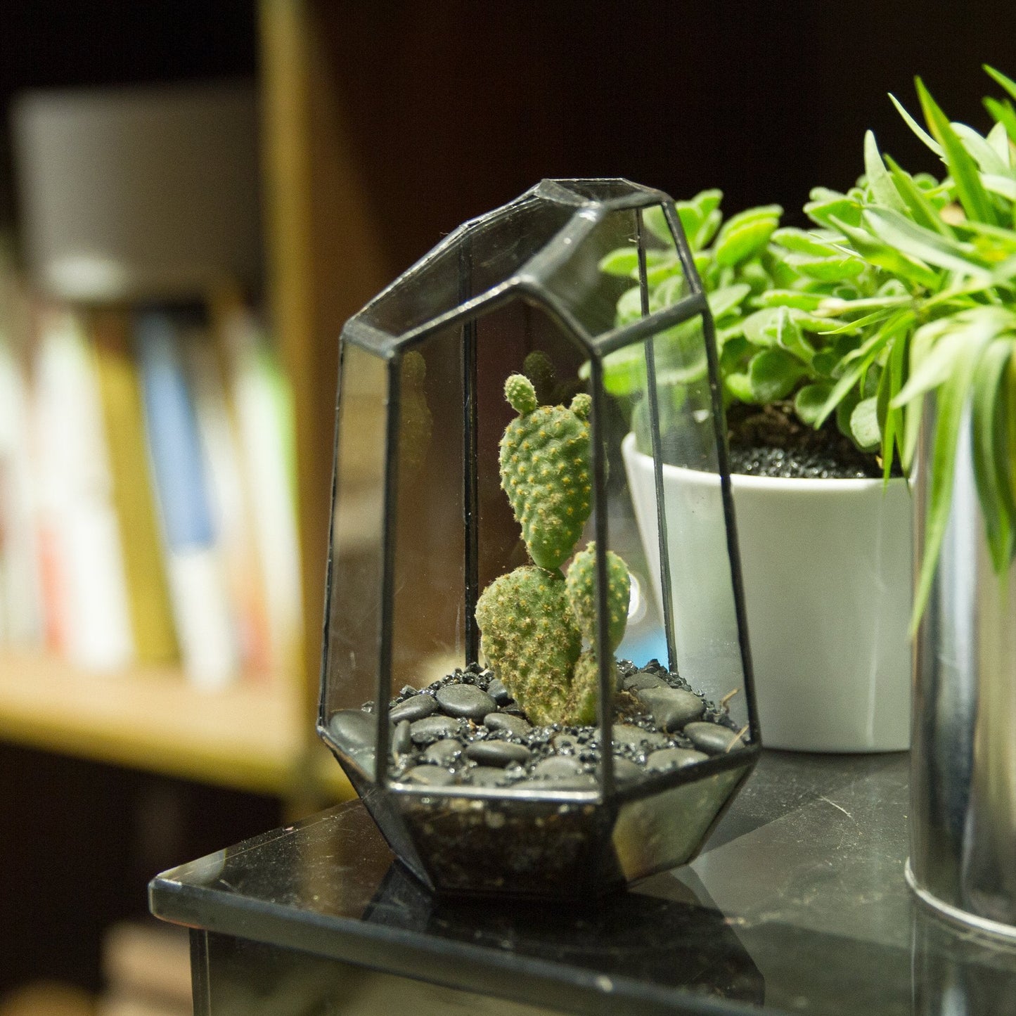NCYP Small No Door Geometric Terrarium - 4.1" x 3.5" x 5.9" Miniature Irregular Glass Terrarium Planter for Mini Succulent Air Plants - Tabletop Garden Container, Black (No Plants)