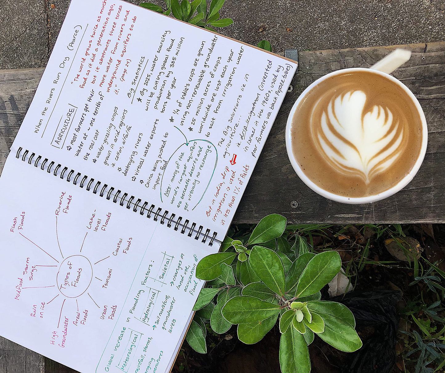 Unruled Classic Blank Spiral Notebook, 60lb Premium Plain Paper, 70 Sheets, Recycled and Sustainable, 10.5" x 8", 3 Pack, Gold Foil/Wire