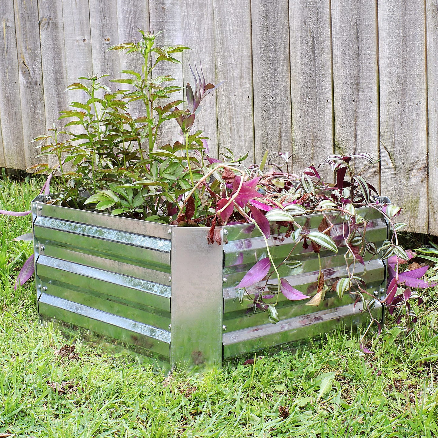 Sunnydaze Galvanized Raised Garden Bed Kit - 2x2x1 ft Outdoor Raised Garden Bed - Metal Planter Box for Vegetables, Flowers, Herbs - Silver - Square