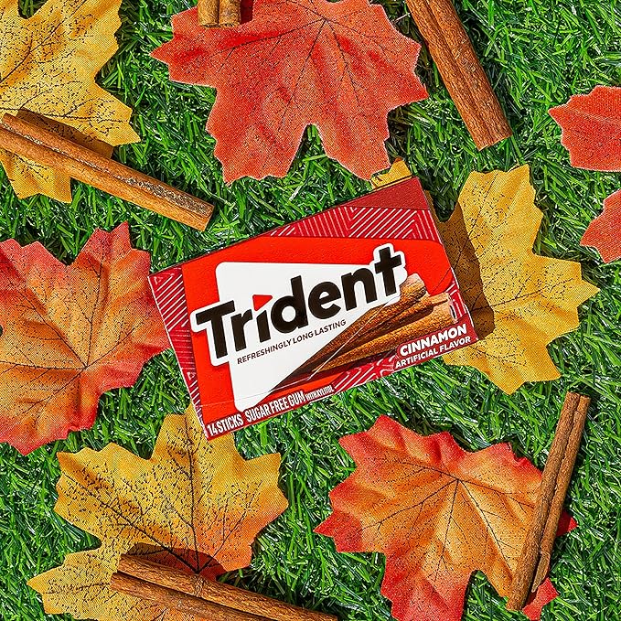 Trident Cinnamon Sugar-Free Chewing Gum, 12 Packs of 14 Pieces (168 Total Pieces)