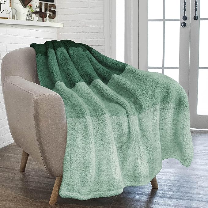 PAVILIA Fluffy Sherpa Throw Blanket Ombre | Gradient Plush, Soft, Fuzzy, Decorative Accent Throw Blanket for Couch Sofa Twin Bed | Cozy Warm Decorative Furry Faux Fur Blanket, 60x80 Inches Green