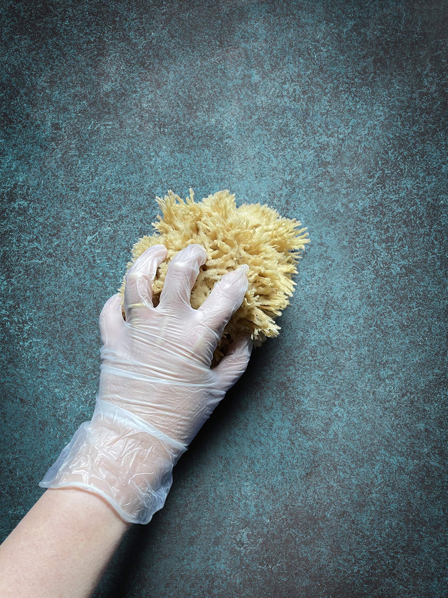 Lullingworth® Natural Sea Wool Art Sponge: Premium Professional Grade 5-6" Unbleached, Excellent for Painting, Decorating, Texturing, Marbling, Limestone/Venetian Plaster, Faux Finishes, Crafts