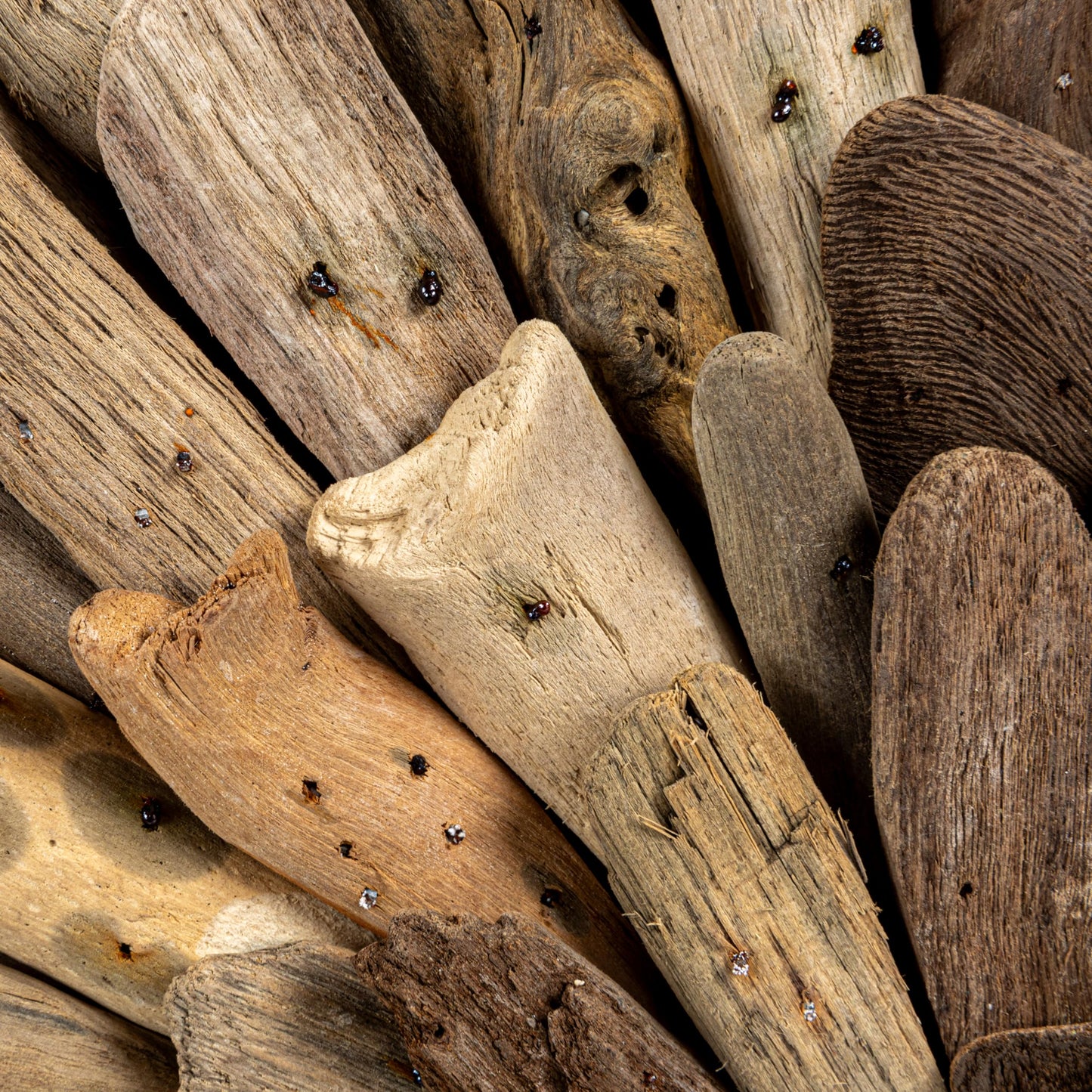 Creative Co-Op Round Driftwood Wall Décor