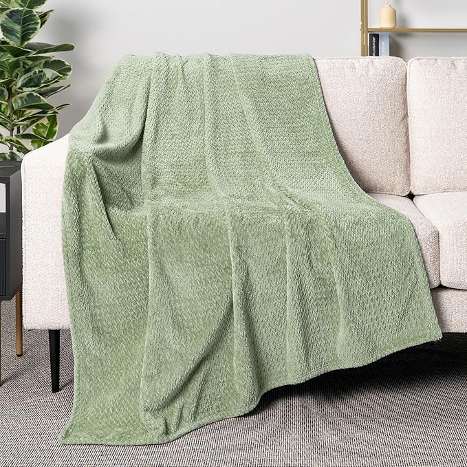 PAVILIA Soft Fleece Light Green Throw Blanket for Couch, Lightweight Plush Warm Blankets for Bed, Fuzzy Cozy Flannel Blanket Throw for Sofa, Travel, Jacquard Pattern, Sage Green, Twin, 60x80 inch