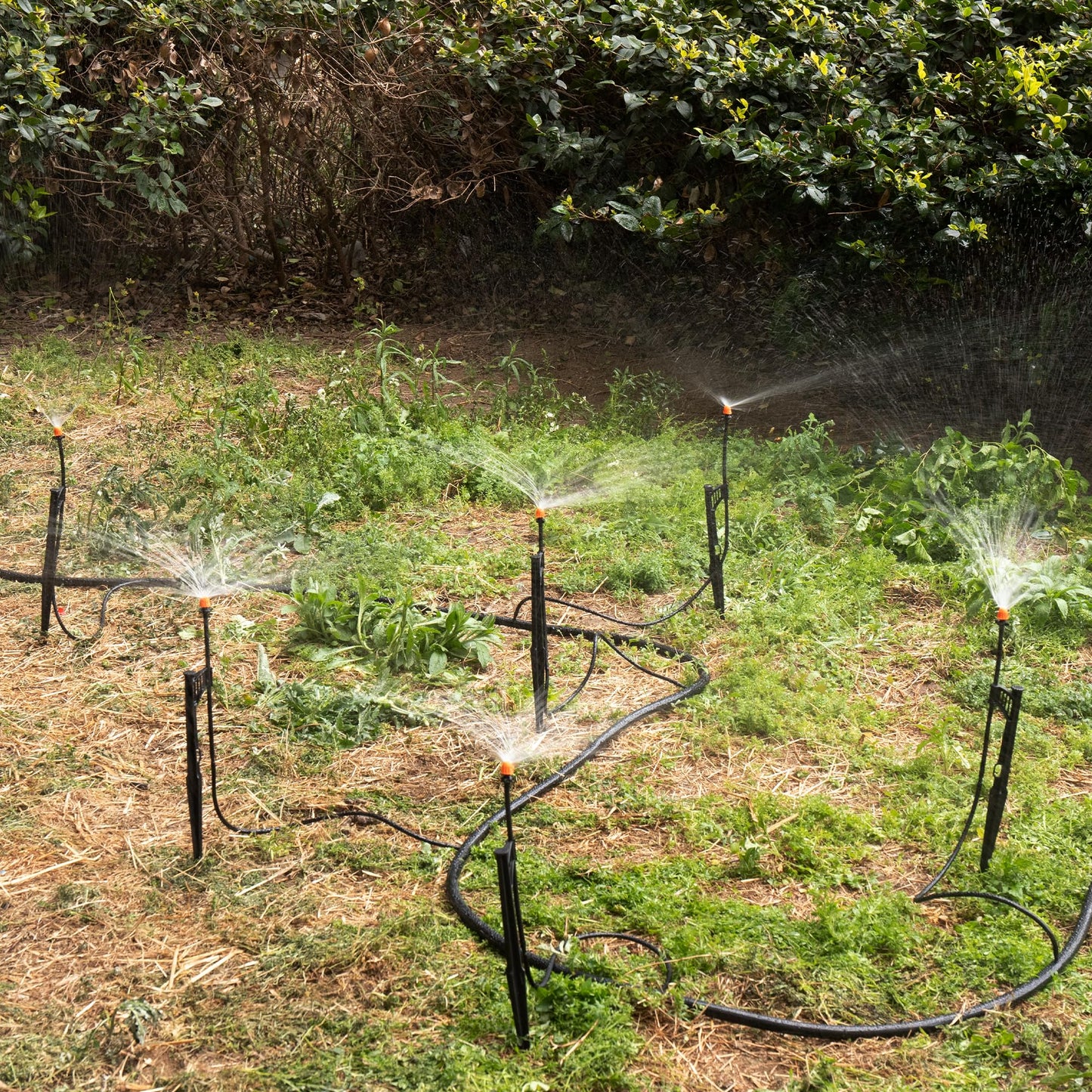 12 Sets 360°Drip Micro Spray Emitters with Sprinkler Stake, Drip Sprinkler Heads with Adjustable Riser 1/4" Irrigation Tubing and Barbed Coupler,Micro Sprinkler Assembly for Garden Irrigation System