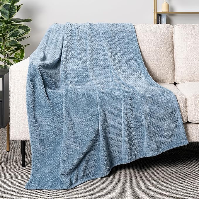 PAVILIA Soft Fleece Dusty Blue Throw Blanket for Couch, Lightweight Plush Warm Blankets for Bed, Fuzzy Cozy Flannel Blanket Throw for Sofa, Travel, Jacquard Pattern, Dusty Blue, Twin, 60x80 inch